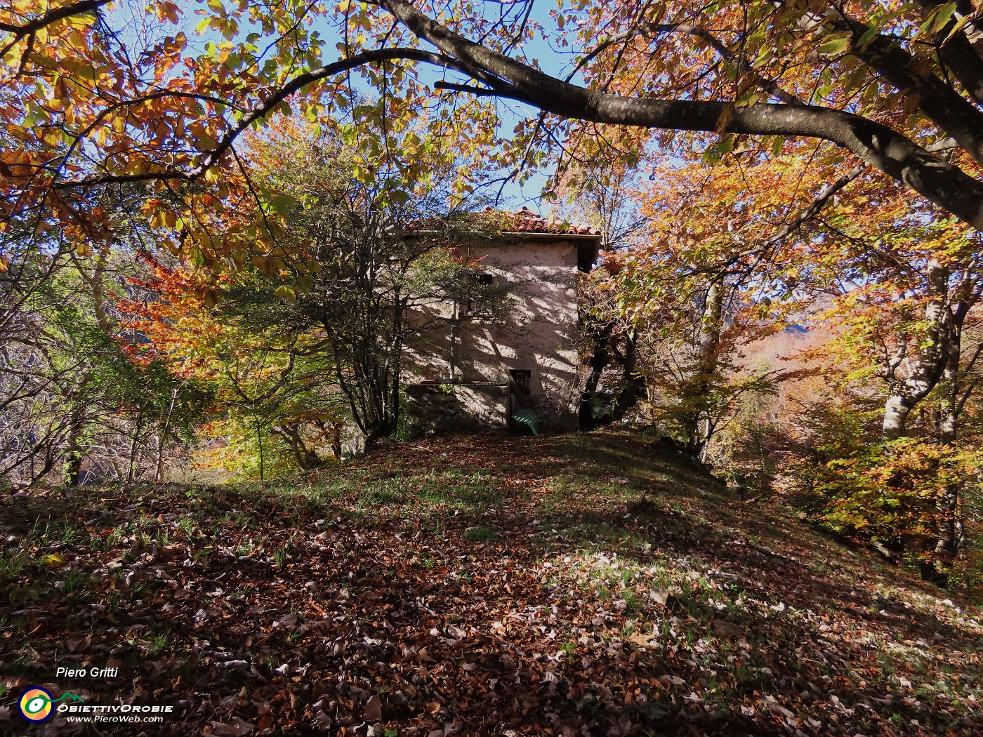 21 Nella splendida faggeta in smagliante  veste autunnale 'Ol rocolu'.JPG